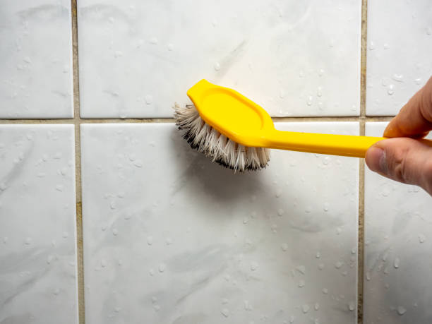 Best Mold Removal Company Near Me  in Upper Lake, CA