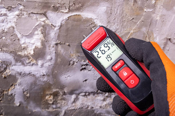 Best Mold Testing  in Upper Lake, CA