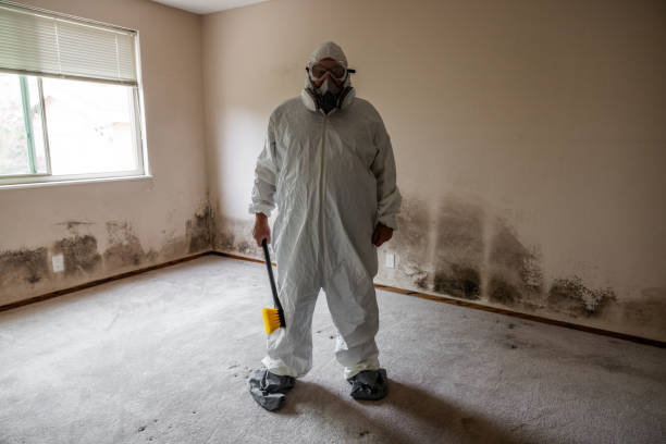 Best Emergency Mold Removal  in Upper Lake, CA
